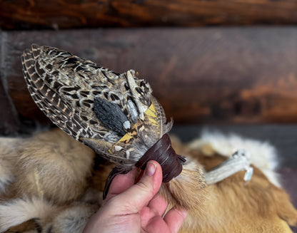 Large Pheasant Wing Fan with Antler, Fox, and Kyanite