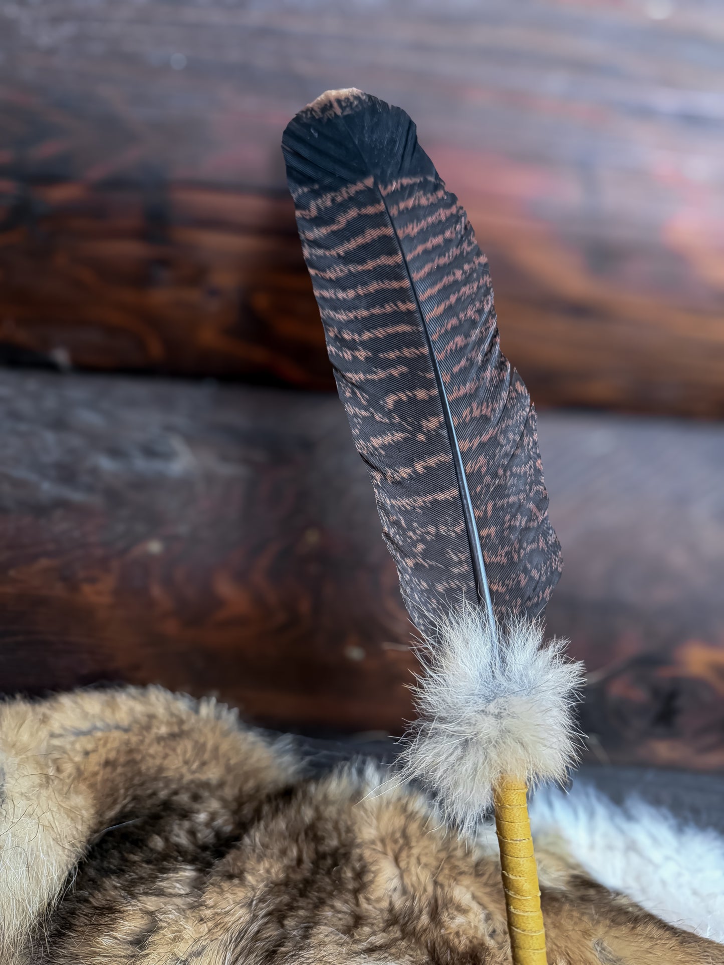 Single Feather Fan: Turkey, Coyote, Buckskin